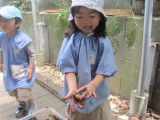 img0023.jpg
