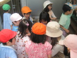 img0024.jpg