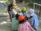 img0028.jpg
