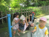 img0035.jpg