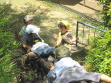 img0039.jpg