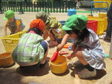 img0041.jpg