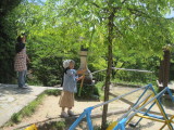 img0044.jpg