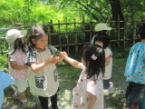 img0046.jpg