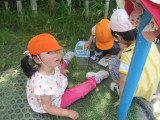 img0050.jpg