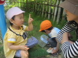 img0051.jpg