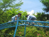 img0053.jpg