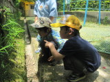 img0054.jpg