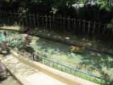 img0055.jpg
