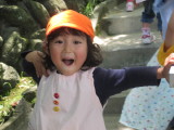 img0056.jpg