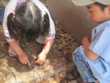 img0058.jpg