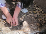 img0059.jpg