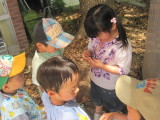 img0062.jpg