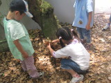 img0064.jpg