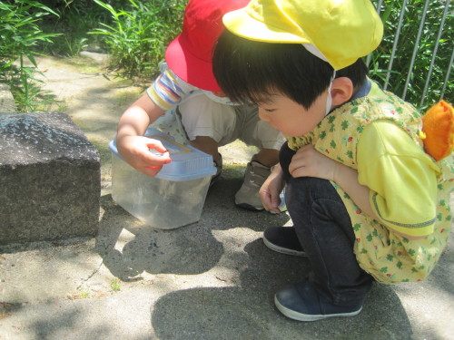 img0015.jpg