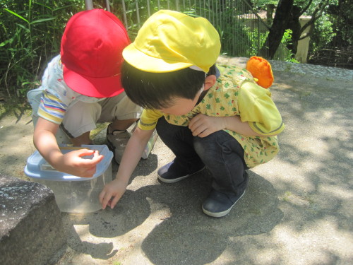 img0016.jpg