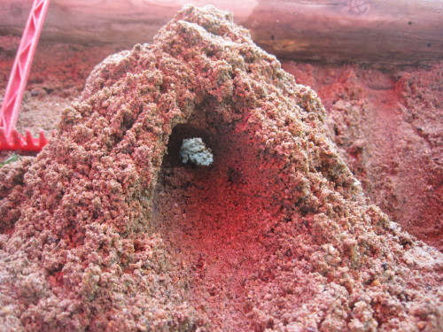 img0026.jpg