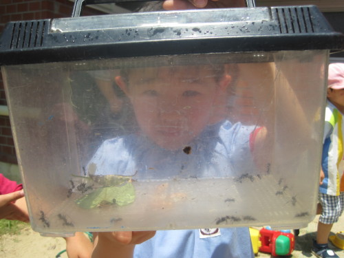 img0042.jpg