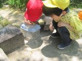 img0014.jpg