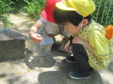 img0015.jpg