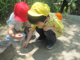 img0016.jpg