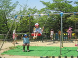 img0017.jpg