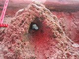 img0026.jpg