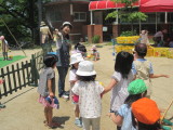 img0036.jpg