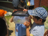 img0041.jpg