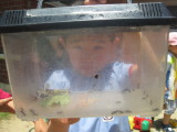 img0042.jpg