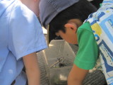 img0044.jpg