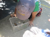 img0045.jpg