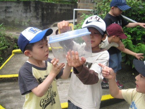 img0015.jpg