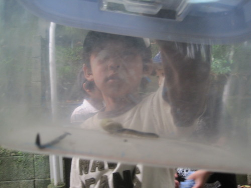 img0017.jpg