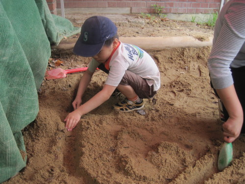 img0034.jpg