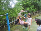 img0009.jpg
