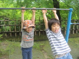 img0010.jpg