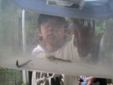 img0017.jpg