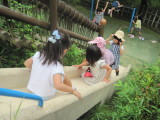 img0019.jpg