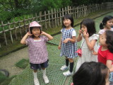 img0031.jpg