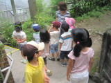 img0037.jpg