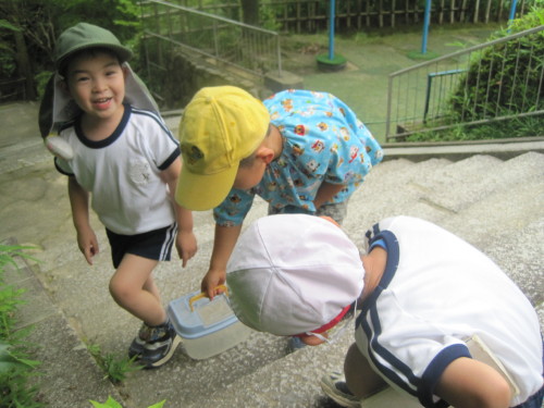 img0009.jpg