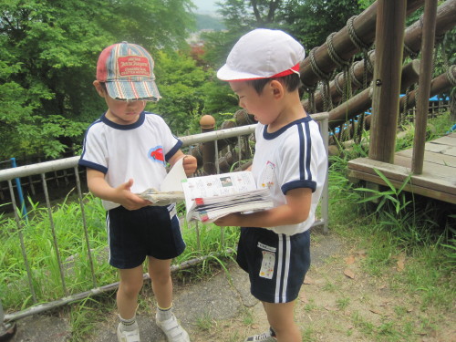 img0012.jpg