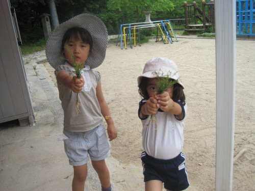 img0018.jpg