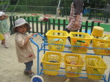 img0003.jpg
