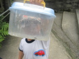 img0006.jpg
