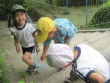 img0009.jpg