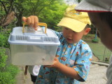 img0010.jpg