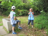 img0034.jpg
