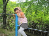 img0045.jpg